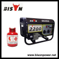 BISON(CHINA) BS2500NGNT Natural Gas Generator Fuel Consumption